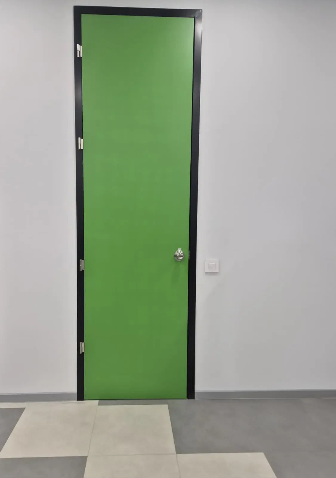An interior door with a green leaf and a black metal frame