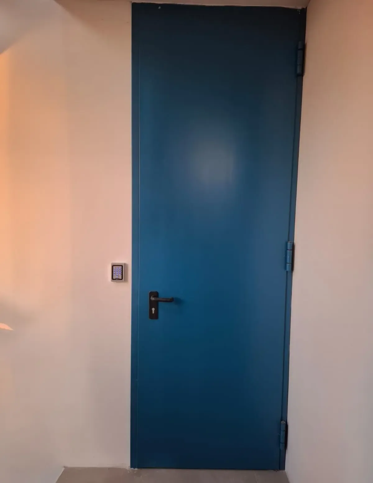 An interior door with a dark blue leaf and a black lever handle