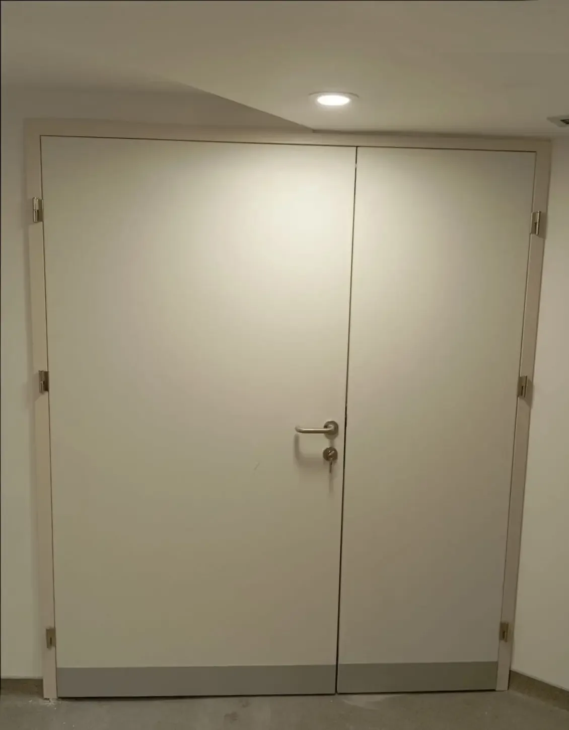 Double-leaf interior doors in ivory with a metal frame
